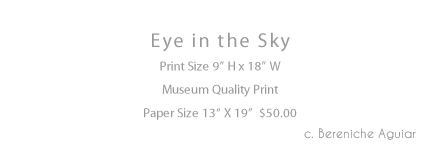 Eye in the Sky Print